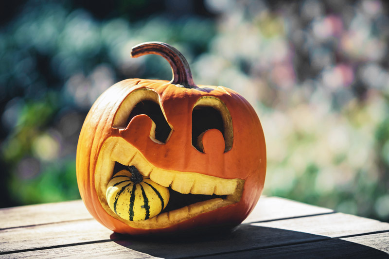 You are currently viewing Highly Sensitive People: Trick or Treat?  Does your mind “trick” you or “treat” you?