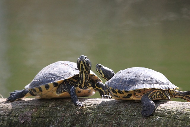 Read more about the article #HighlySensitivePeople: Is doing small things overrated?